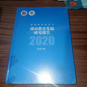 湖南教育发展研究报告2020