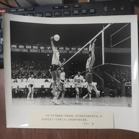 超大尺寸：1980年，南京国际女排邀请赛，中国女排战胜日本队夺得冠军