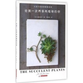 给第一次养多肉植物的你