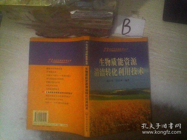 生物质能资源清洁转化利用技术/21世纪可持续能源丛书