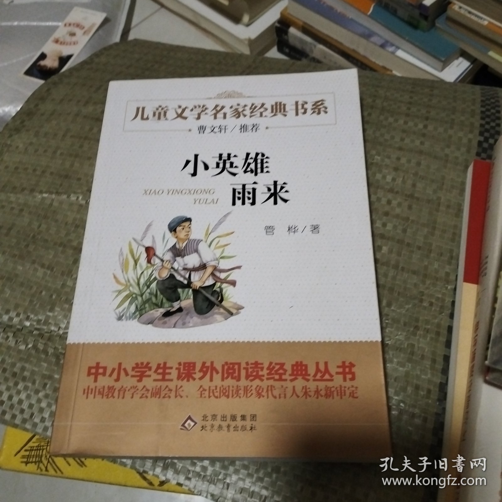 曹文轩推荐儿童文学经典书系 小英雄雨来