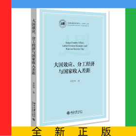 大國效應、分工經(jīng)濟與國家收入差距