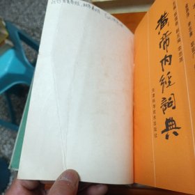 黄帝内经词典