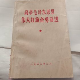 高举毛泽东思想伟大红旗奋勇前进