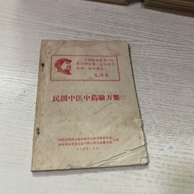 民间中医中药验方集