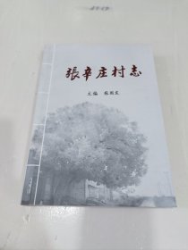 张辛庄村志