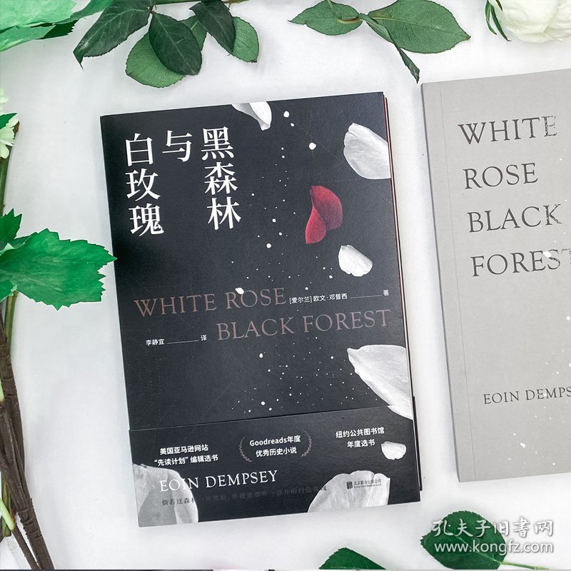 黑森林与白玫瑰