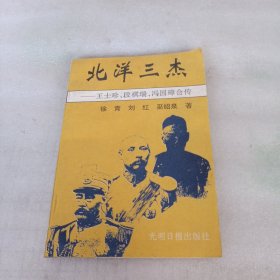 北洋三杰:王士珍 段祺瑞 冯国璋合传