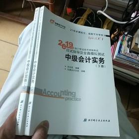 (2019)中级会计实务应试指导及全真模拟测试中级会计轻松过关1
上下册