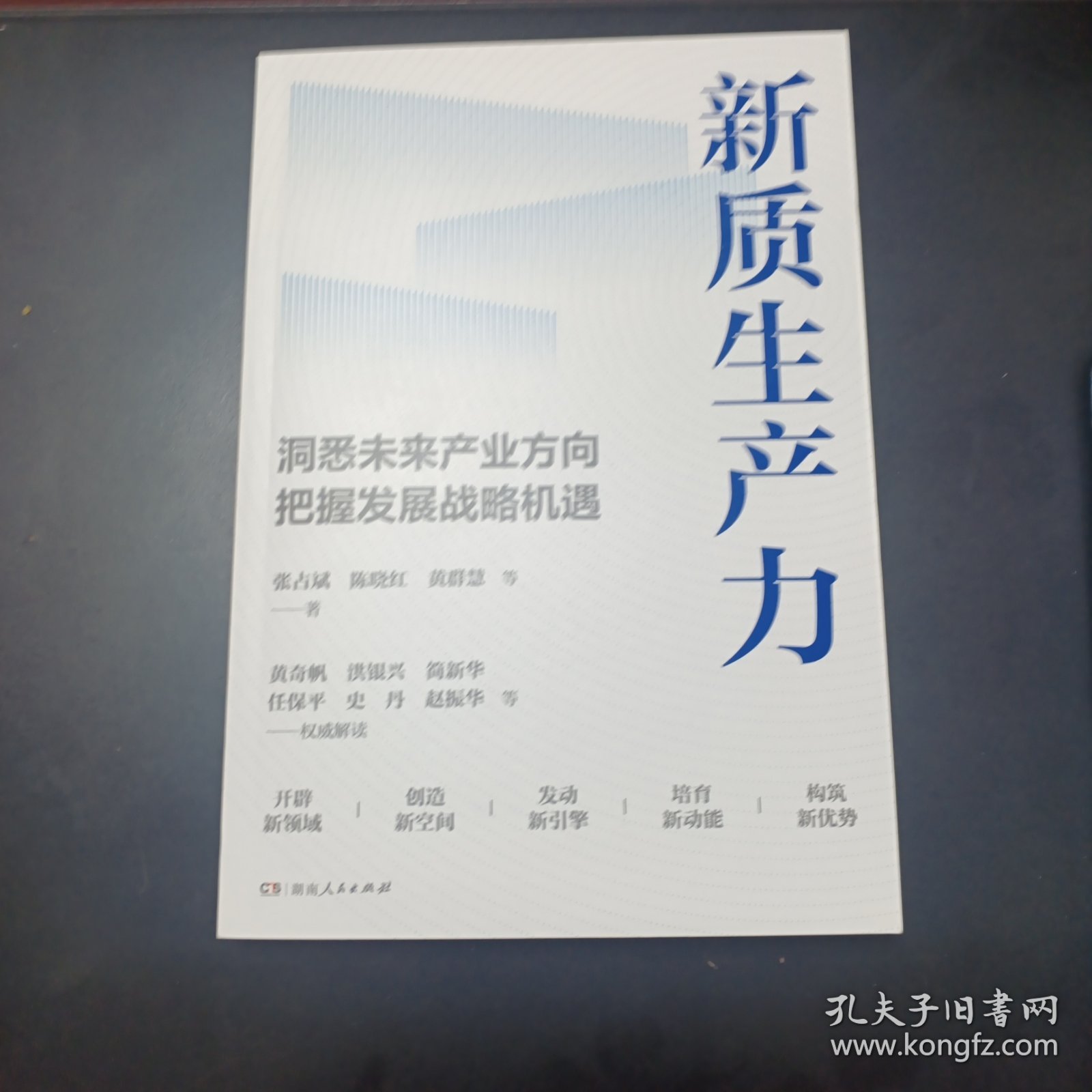 新质生产力（黄奇帆、洪银兴等高层智囊重磅发声，2024年读懂中国经济全新读本！这本书，带你跟上中国下一步！）