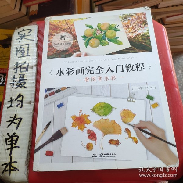 水彩画完全入门教程 看图学水彩