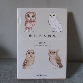 我们迷人的鸟
