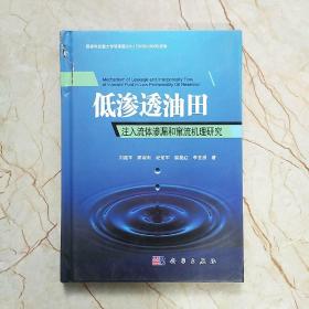 低渗透油田注入流体渗漏和窜流机理研究