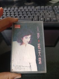 入梦杭天琪磁带