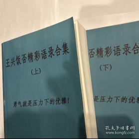 美团创始人王兴饭否精彩语录合集（上下册全，两大部，非常厚）