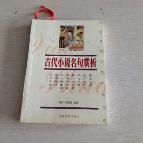 古代小说名句赏析