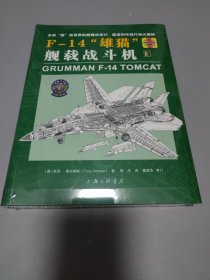 F-14“雄猫”舰载战斗机