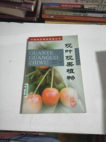 观叶观果植物