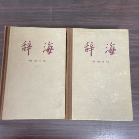 辞海 词语分册（修订稿）（上下册）