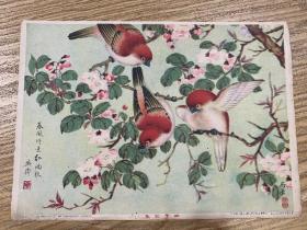 民国画片16开，四季花鸟。4幅合售。华西岳绘画