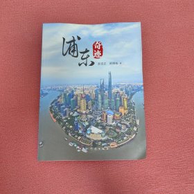 浦东奇迹（新版）