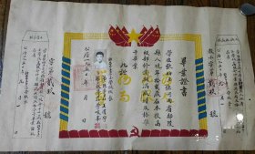 1950年许昌市立第一小学毕业证书