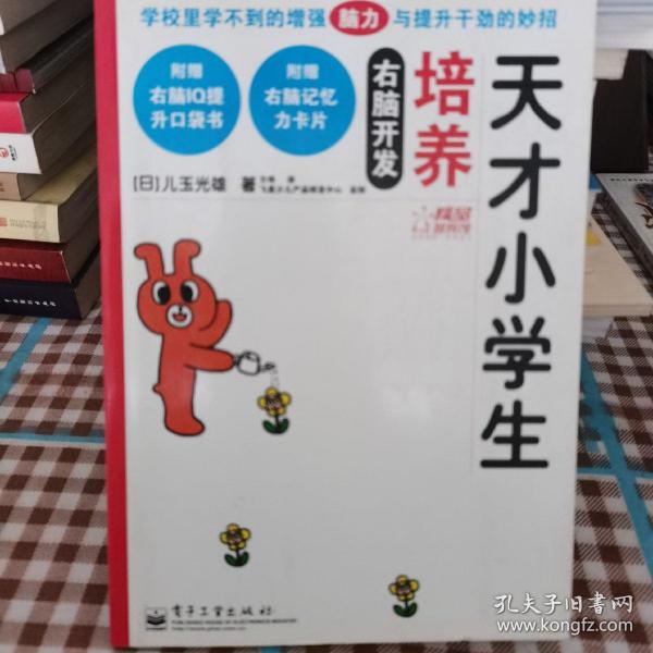 飞思精品智育馆：右脑开发养育天才儿童