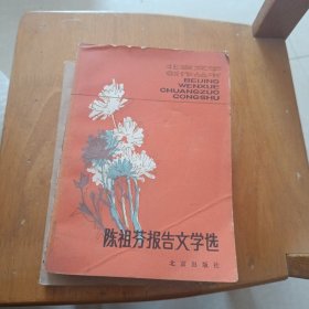 陈祖芬报告文学选