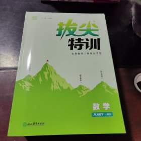 拔尖特训数学八年级下册