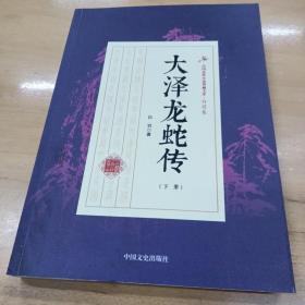 大泽龙蛇传（下册）/民国武侠小说典藏文库·白羽卷