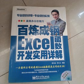 百炼成钢：Excel函数开发实用详解 没有光盘