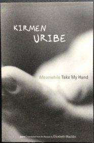 Kirmen Uribe《Meanwhile Take My Hand》