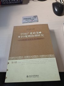 中国产业政策与WTO规则协调研究