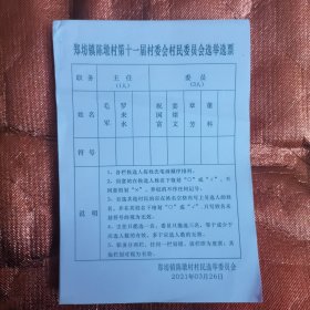 2021年3月26号郑坊镇陈墩村第十一届村委会村民委员会选举选票（1本100张）