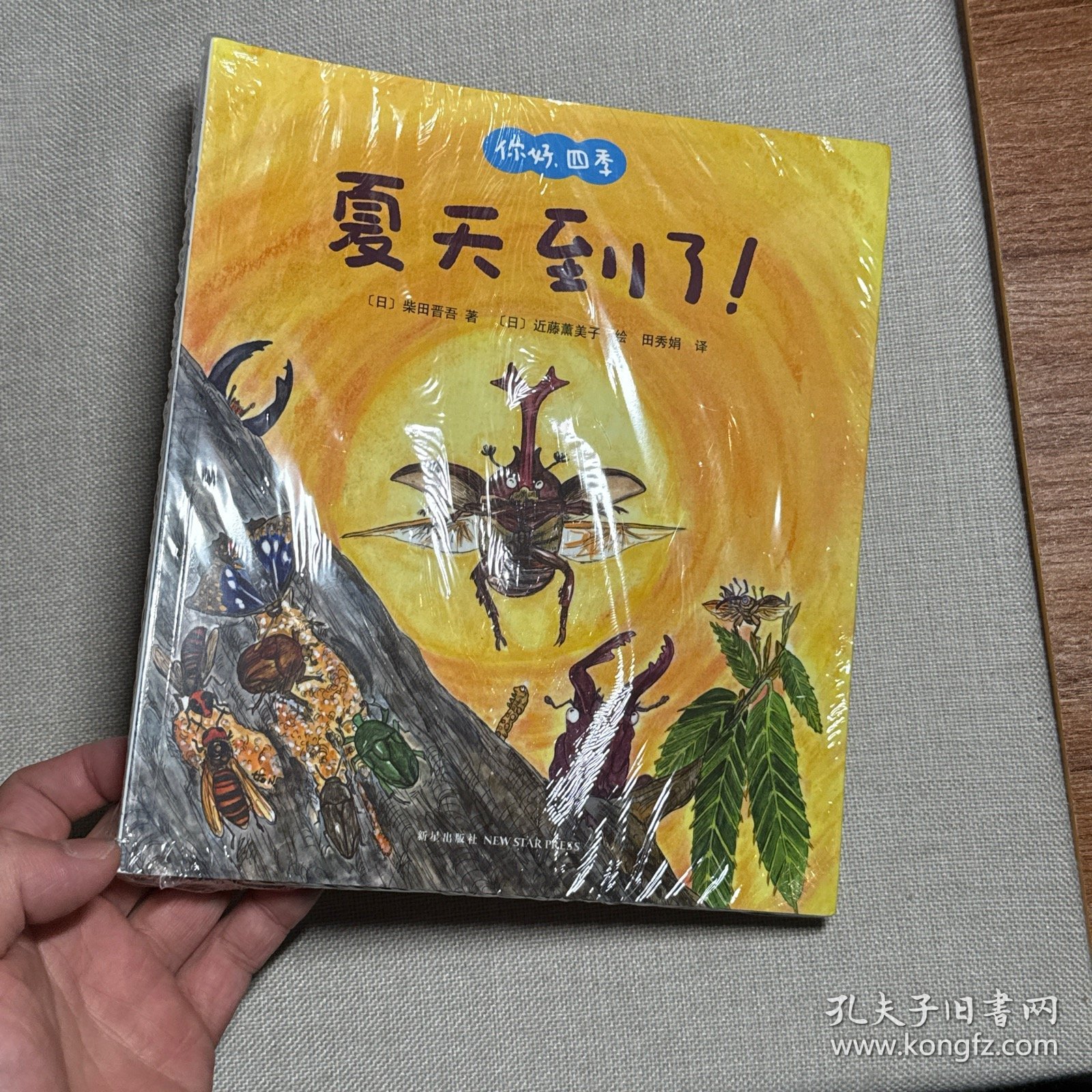 你好，四季 全四册