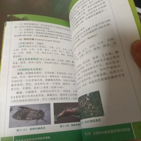 林木病虫害防治实用技术图解