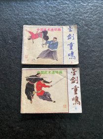 中国武术连环画缺本《金剑重鸣》（下上）