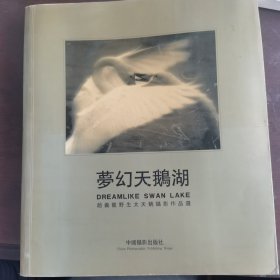 梦幻天鹅湖:赵义龙野生大天鹅摄影作品选