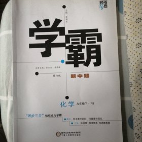 学霸题中题化学九年级下RJ