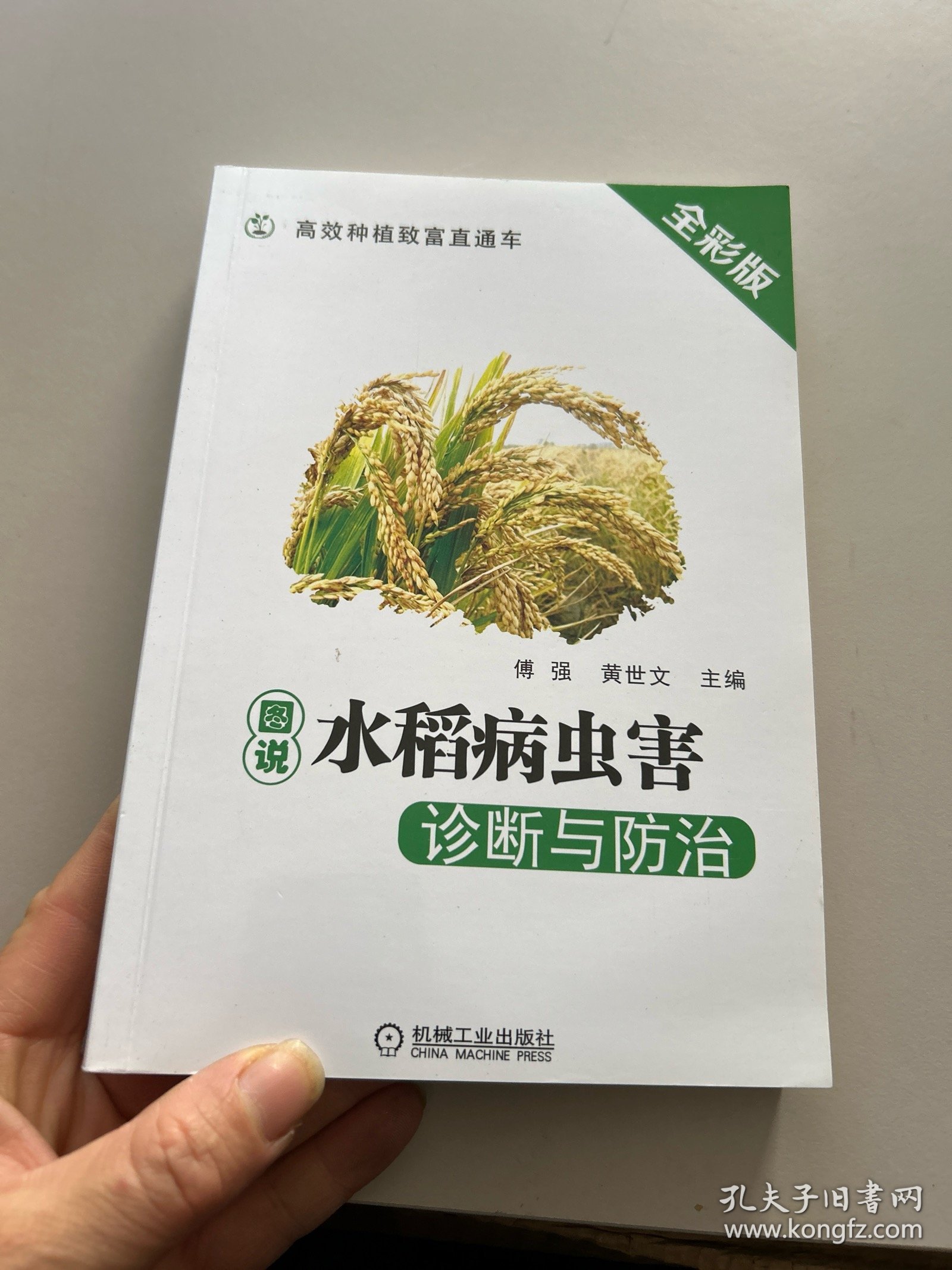 图说水稻病虫害诊断与防治 全彩版