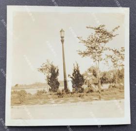 民国时期 公园湖边路灯下旗袍女学生留影照一枚