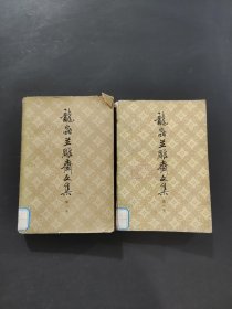 龙蟲並雕齐文集