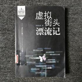 虚拟街头漂流记