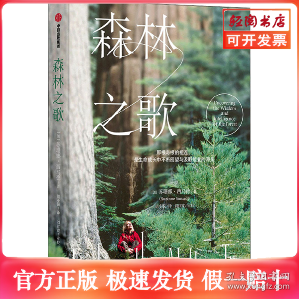 森林之歌