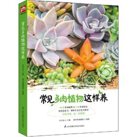 常见多肉植物这样养