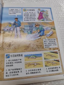 告诉你为什么儿童百科.动物与环境