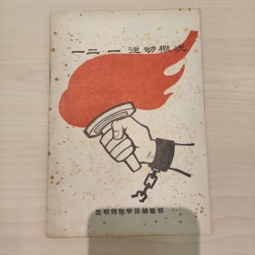 一二一运动概况