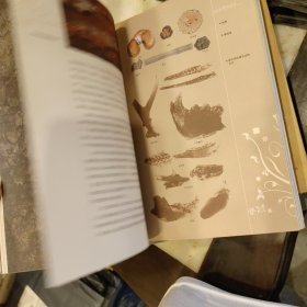 远古的遗迹:南京国家地质公园