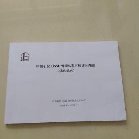 中国石化HSSE管理体系审核评析分细则，炼化板块