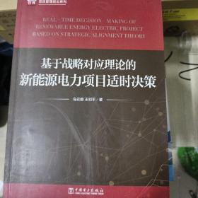 项目管理前沿系列：基于战略对应理论的新能源电力项目适时决策